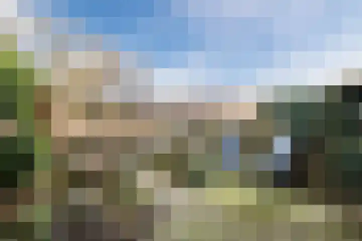 Getijmolenerf 155 Gouda thumbnail 6