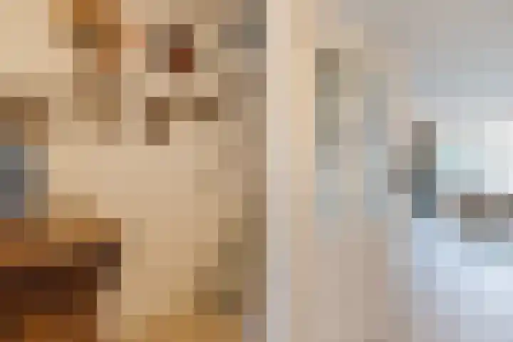 Getijmolenerf 155 Gouda thumbnail 9