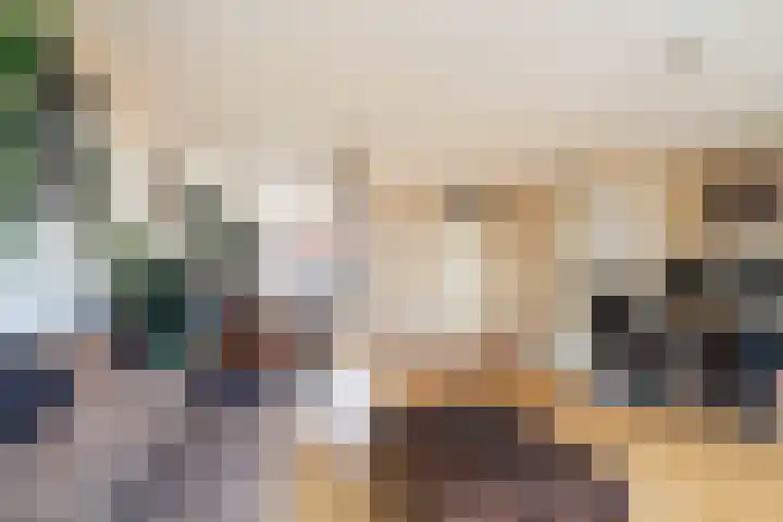 Getijmolenerf 64 Gouda thumbnail 12