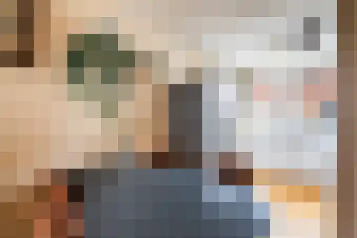 Getijmolenerf 64 Gouda thumbnail 14