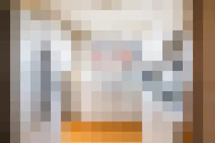 Getijmolenerf 64 Gouda thumbnail 15
