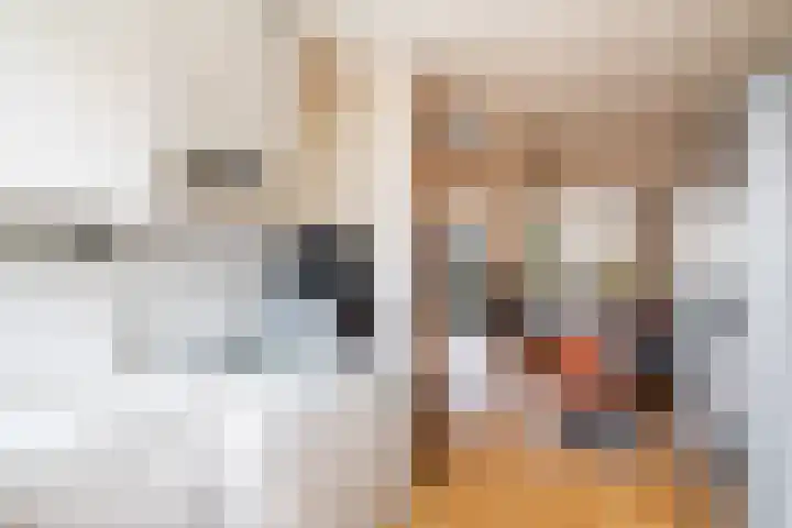 Getijmolenerf 64 Gouda thumbnail 17
