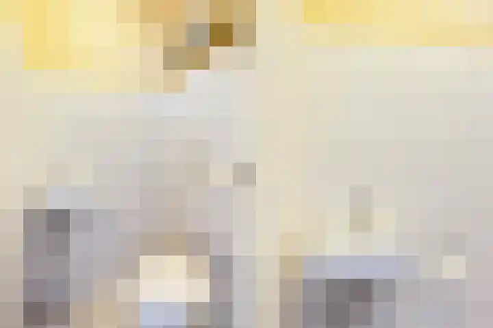 Getijmolenerf 64 Gouda thumbnail 19