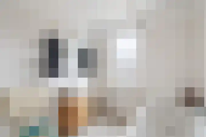 Getijmolenerf 64 Gouda thumbnail 27