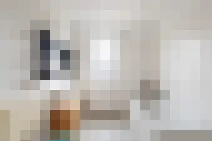 Getijmolenerf 64 Gouda thumbnail 28