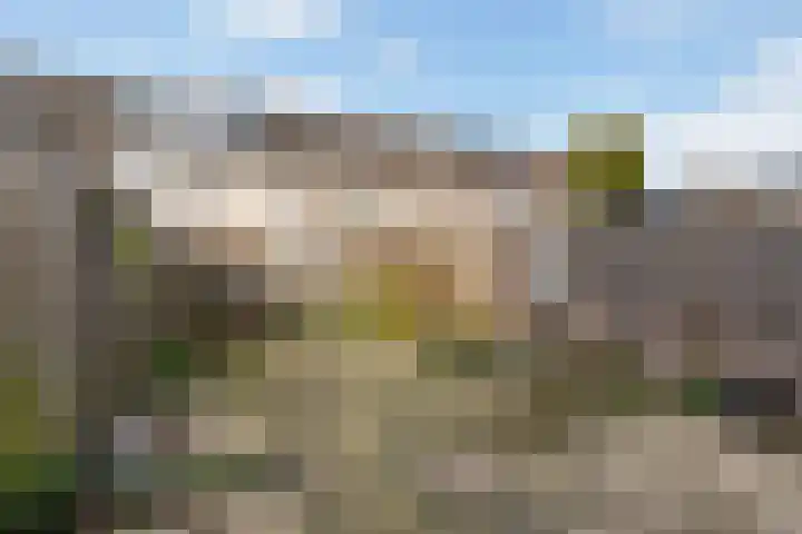 Getijmolenerf 64 Gouda thumbnail 36