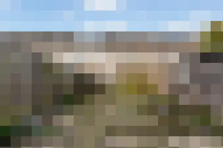 Getijmolenerf 64 Gouda thumbnail 37