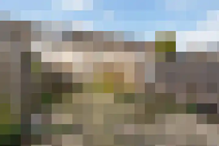 Getijmolenerf 64 Gouda thumbnail 4