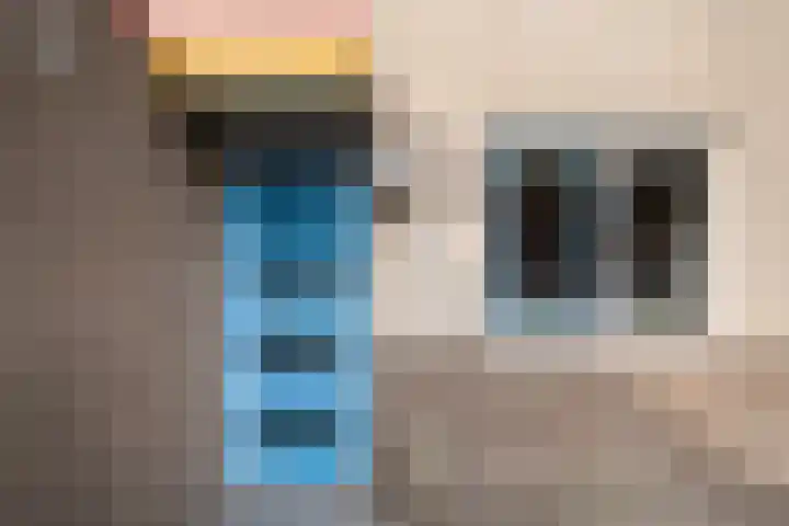 Getijmolenerf 64 Gouda thumbnail 8