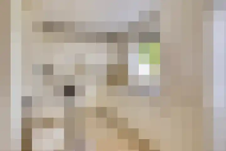Geul 20 Tilburg thumbnail 12