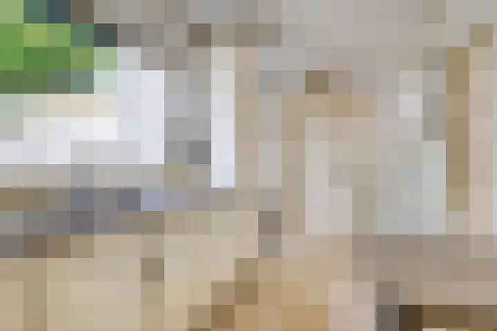 Geul 20 Tilburg thumbnail 13