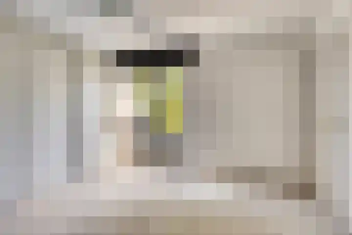 Geul 20 Tilburg thumbnail 16