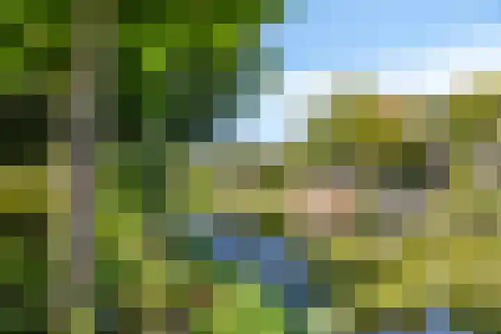Geul 20 Tilburg thumbnail 35