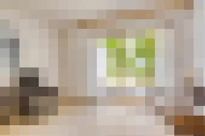 Geul 20 Tilburg thumbnail 8