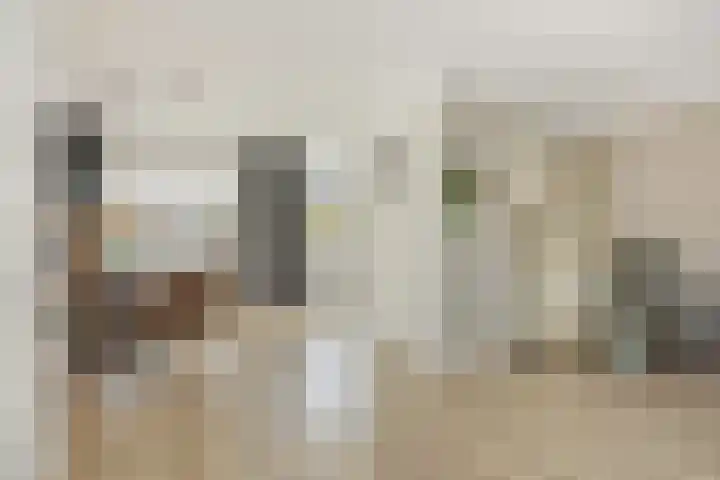 Geul 21 Deurne thumbnail 11