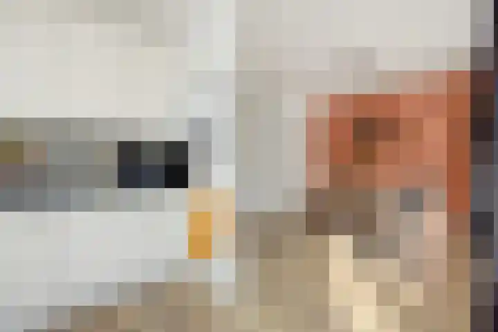 Geul 21 Deurne thumbnail 14