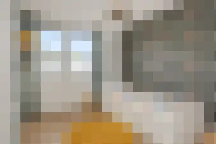 Geul 21 Deurne thumbnail 16