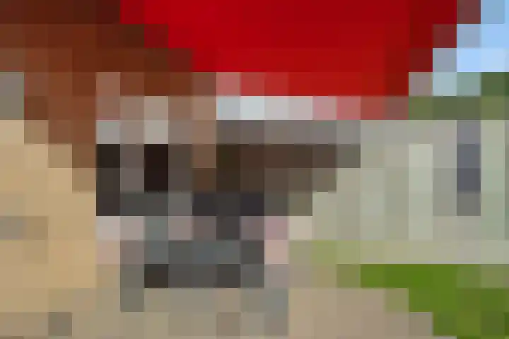 Geul 21 Deurne thumbnail 27