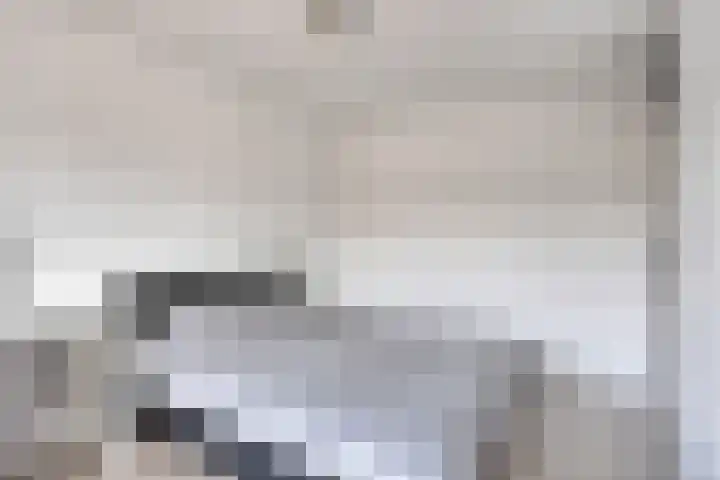 Geul 24 Deurne thumbnail 19