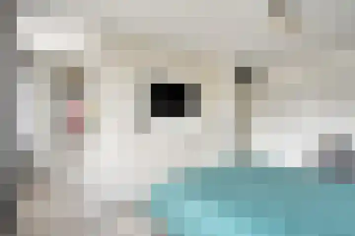 Geul 24 Deurne thumbnail 21