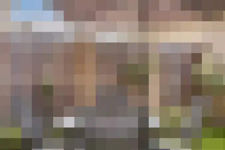 Geul 24 Deurne thumbnail 33