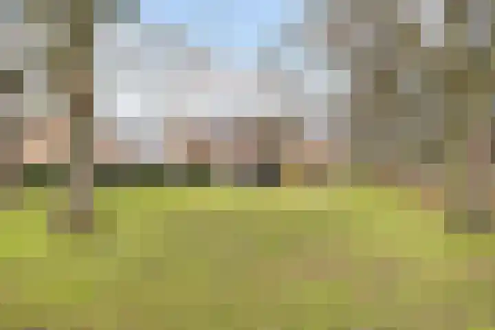 Geul 24 Deurne thumbnail 38