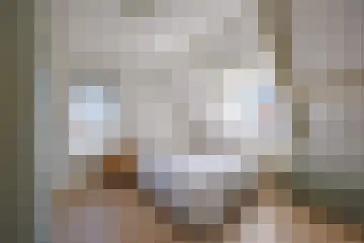 Geul 24 Deurne thumbnail 40