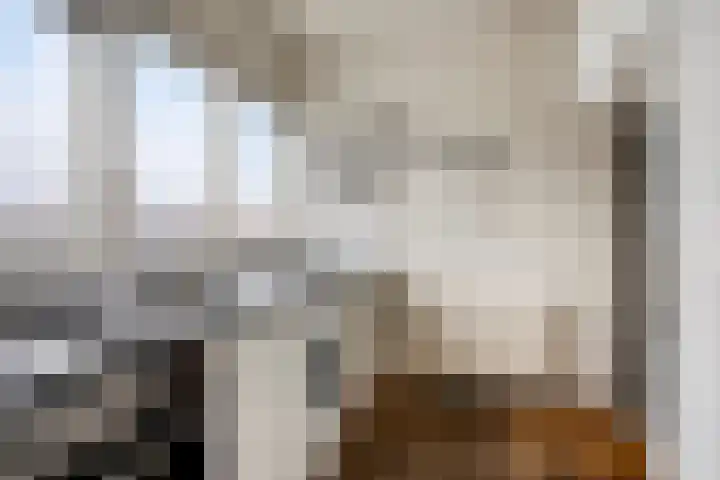 Geulstraat 33 Groningen thumbnail 17