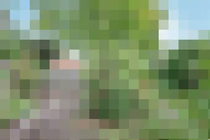Geulwijk 13 Leusden thumbnail 36