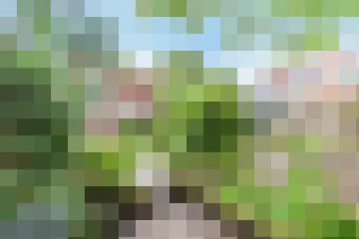 Geulwijk 13 Leusden thumbnail 38