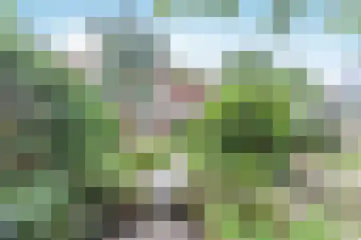 Geulwijk 13 Leusden thumbnail 40