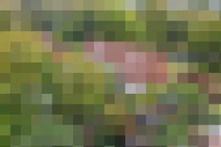Geulwijk 13 Leusden thumbnail 42