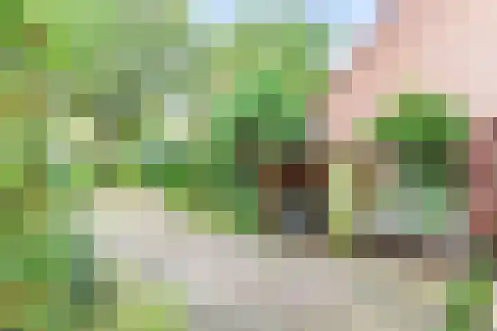 Geulwijk 13 Leusden thumbnail 43