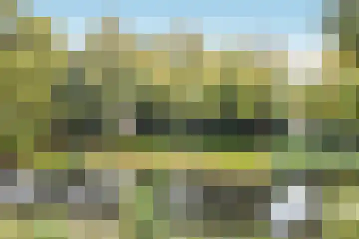 Geulwijk 13 Leusden thumbnail 44