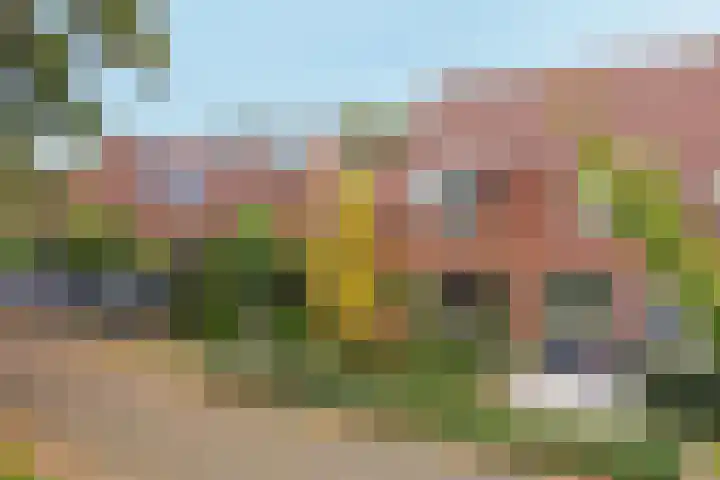 Geulwijk 13 Leusden thumbnail 45
