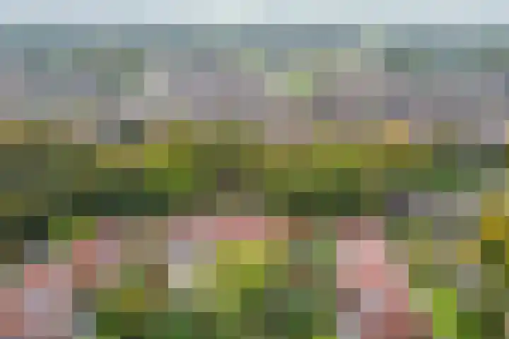 Geulwijk 13 Leusden thumbnail 48
