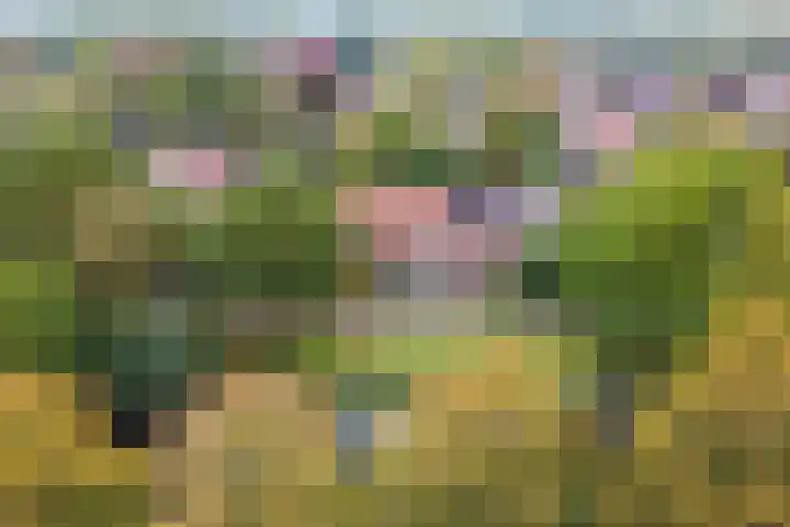 Geulwijk 13 Leusden thumbnail 49