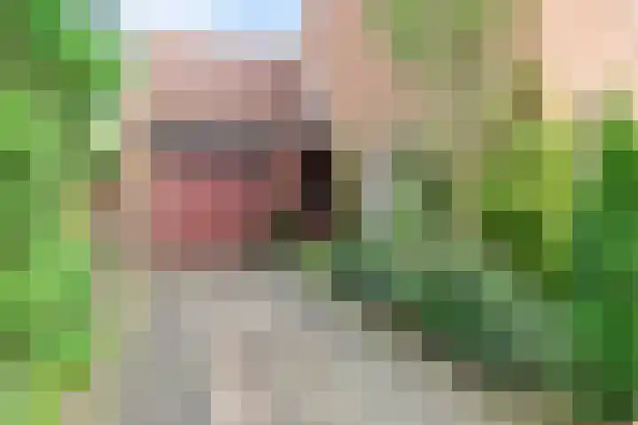 Geulwijk 13 Leusden thumbnail 5