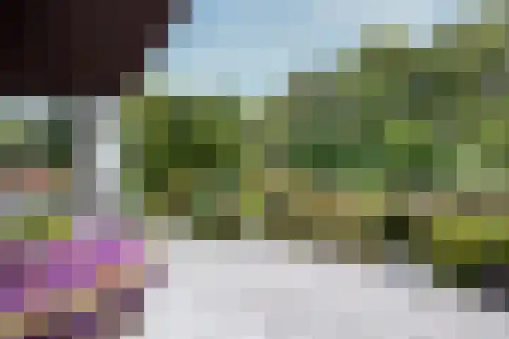 Geulwijk 6 Leusden thumbnail 36