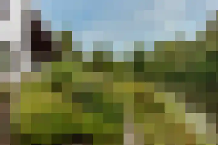Geulwijk 6 Leusden thumbnail 37