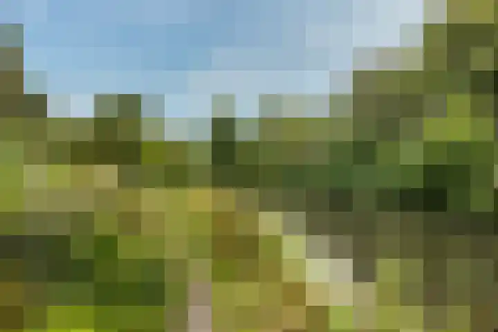 Geulwijk 6 Leusden thumbnail 38