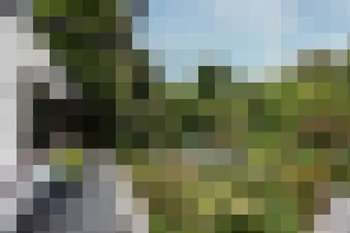 Geulwijk 6 Leusden thumbnail 40