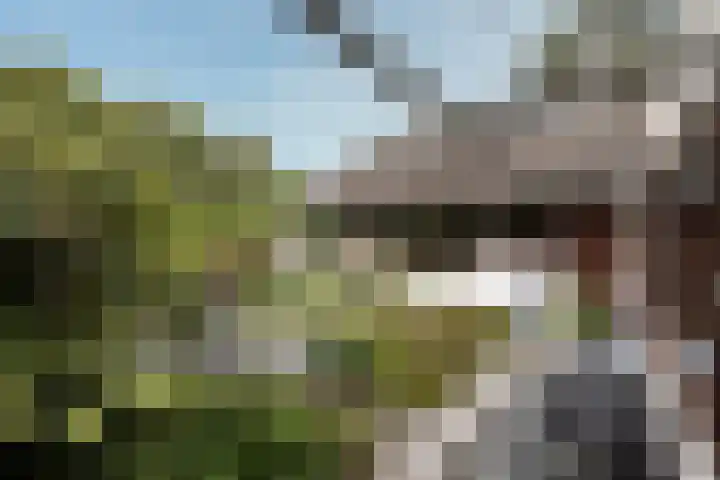Geulwijk 6 Leusden thumbnail 42