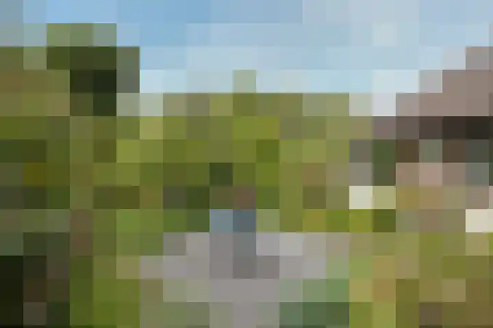 Geulwijk 6 Leusden thumbnail 43