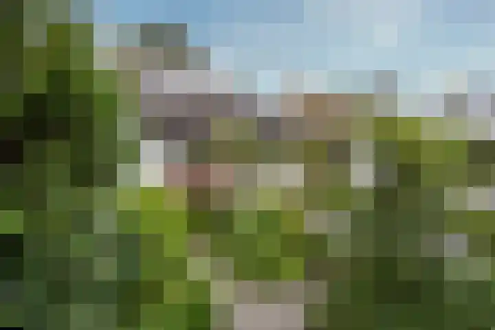 Geulwijk 6 Leusden thumbnail 44