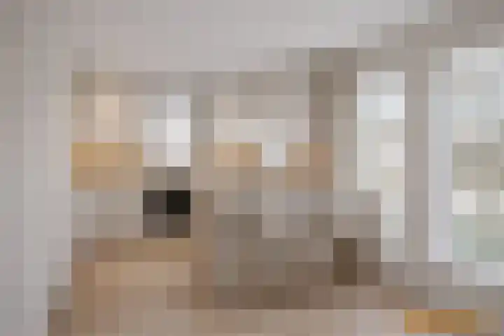 Gewandeweg 30 Oss thumbnail 22