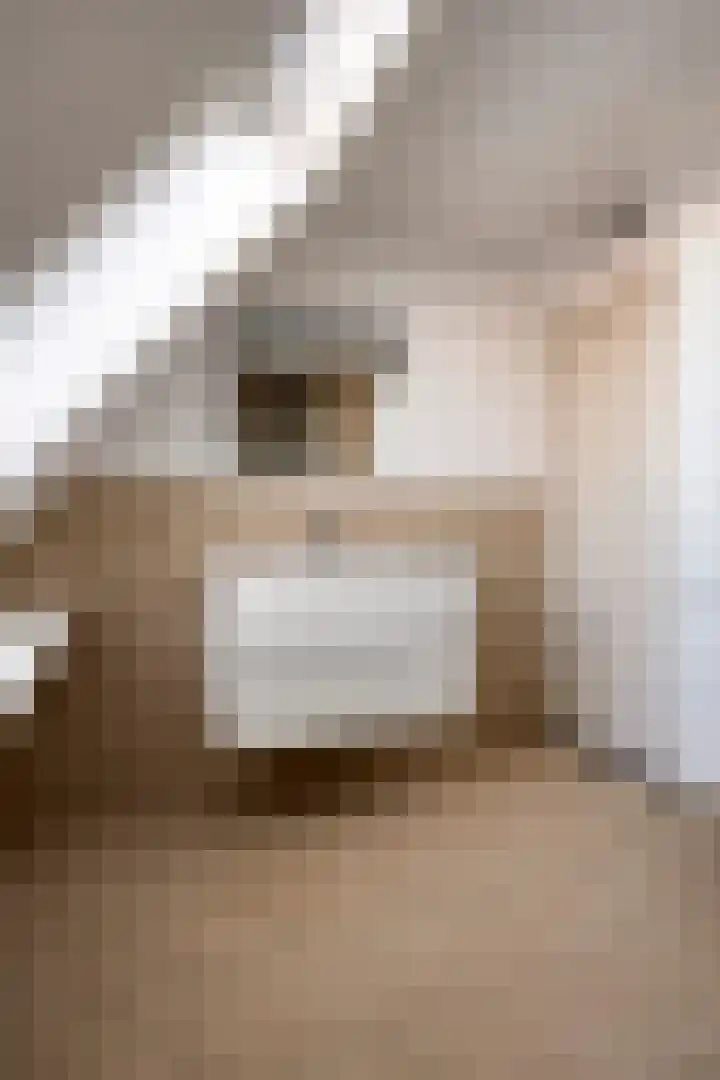 Gewandeweg 30 Oss thumbnail 28
