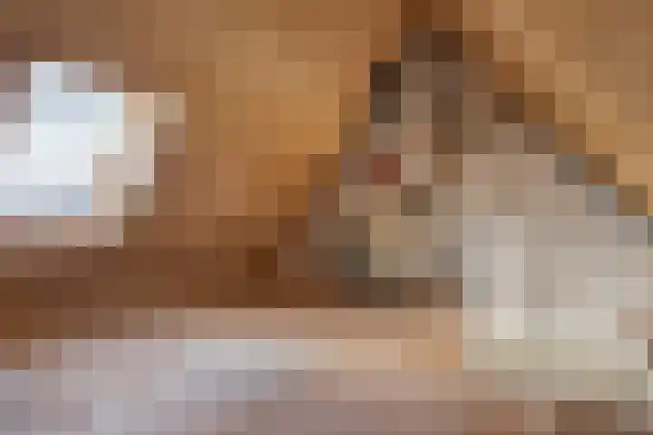 Gewandeweg 30 Oss thumbnail 34