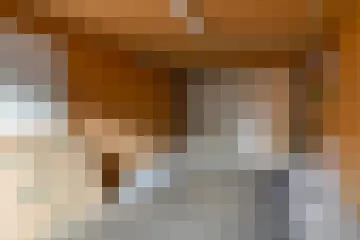 Gewandeweg 30 Oss thumbnail 40