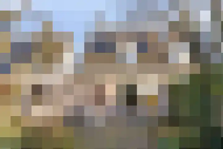 Gewandeweg 30 Oss thumbnail 8
